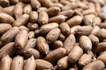 Roasted unpeeled pecan nuts, tasty healthy vegetarian food backgroundの写真素材