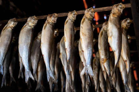 Old dark traditional Dutch smokehouse in fisherman's village in Horth Holland - rows of smoked herrings fish hanging on skewers under tiled roofの写真素材