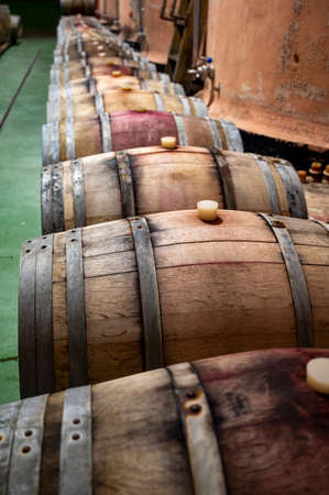 Making wine on traditional bodega in steel tanks and old wooden barrels in south part of La Palma volcanic island, Canary islands, Spainの写真素材