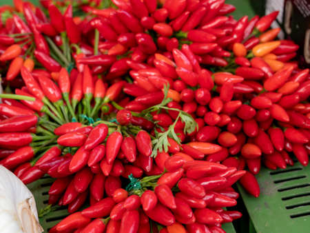 Bunches of many red hot chili peppers for sale on marketの写真素材
