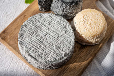 French goat cheeses crottin and selles-sur-cher served with view on boats in harbor of Cassis, Provence, France, cheese tastingの写真素材