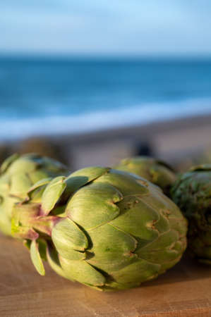 Green heads of artichokes plants uncooked with blue sea on background, close upの写真素材