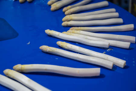 Conveyor for cleaning, peeling and packing of fresh white asparagus vegetables on Dutch farm, Brabant, Netherlandsの写真素材
