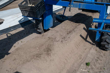 Machine for harvesting of white asparagus vegetables on Dutch farm, Brabant, Netherlands