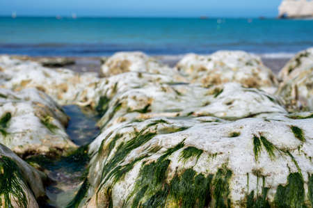 Low tide period and view on white stones on ocean bottom and chalk cliffs of Porte d'Aval arch in...