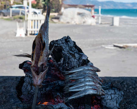Malaga style of preparation of fresh fish, catch of the day, on skewers and open flame on fireplace with olive trees wood on the beach, Andalusia, Spainの写真素材