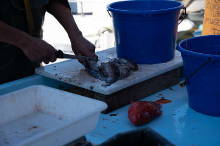 Catch of the day , fresh fish for sale on daily outdoor fisherman's market in small old port in...