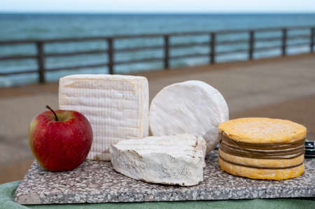 Four famous cheeses of Normandy, squared pont l'eveque, round camembert cow cheese, yellow livarot,...
