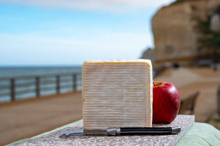 French squared pont l'eveque cow cheese from Calvados department served outdoor with apple and view...