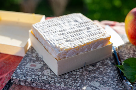 French squared pont l'eveque cow cheese from Calvados department, close up, Pont l'eveque village,...
