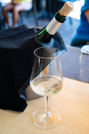 Drinking of txakoli or chacolÃ­ slightly sparkling very dry white wine produced in Spanish Basque Country, served in restaurant in Getaria fisherman's village, Spainの写真素材