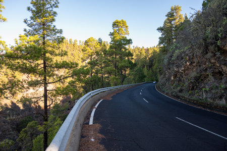 Driving on La Palma island to highest mountain Roque de los muchachos before Cumbre vieja volcano eruption in 2021 in sunny day, Canary islands, Spainの写真素材
