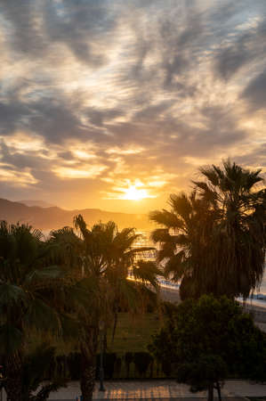 Sunrise over sea water and palm trees in Torrox Costa, Costa del Sol, small touristic town between Malaga and Nerja, Andalusia, Spainの写真素材