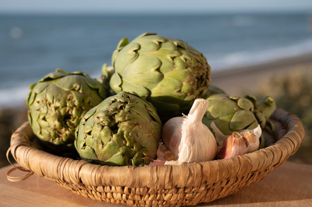 Green heads of artichokes plants uncooked with blue sea on background, close upの写真素材