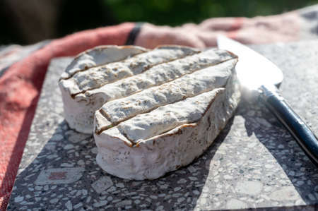 French heartshaped neufchatel cow cheese, close up, NeufchÃ¢tel-en-Bray, Normandy, Franceの写真素材