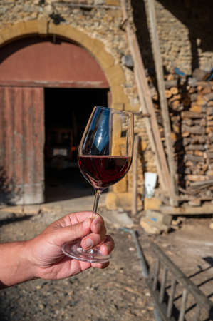 Tasting of red wine by old wine maker in Pierres DorÃ©es region with yellow stone houses on south of Beaujolais region, France, wine appelation regionの写真素材