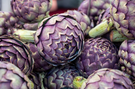 Big purple globe artichokes heads vegetables on farmers market in Brittany, Franceの写真素材