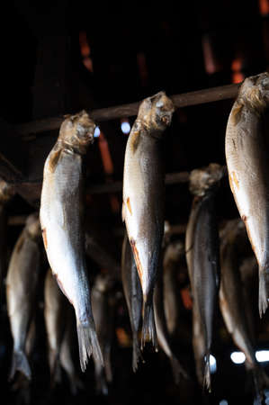 Old dark traditional Dutch smokehouse in fisherman's village in Horth Holland - rows of smoked herrings fish hanging on skewers under tiled roofの写真素材