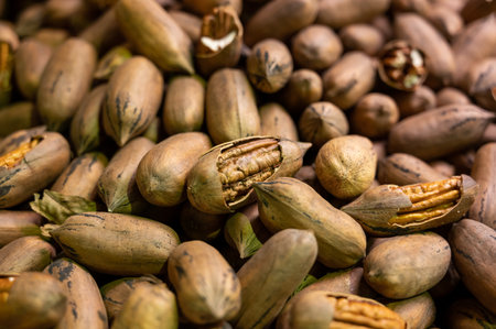 Roasted unpeeled pecan nuts, tasty healthy vegetarian food background