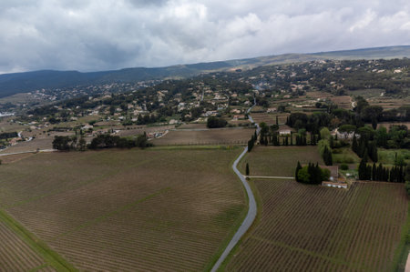Aerial panoramic view on rows of grape plants on vineyards in Bandol wine making region, Provence, South of France in springの写真素材