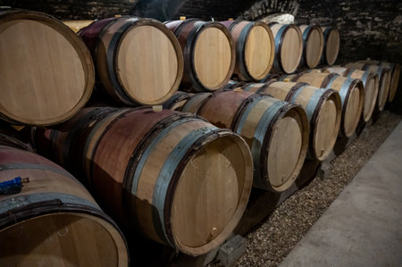 Stages of wine production from fermentation to bottling, visit to wine cellars in Cote d'Or,...