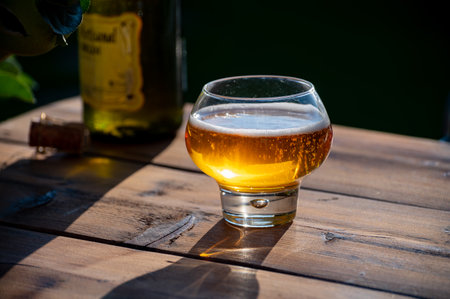 Tasting of fresh apple cider brut produced on organic farm from bio apples in Normandy, France with apple tree on backgroundの写真素材