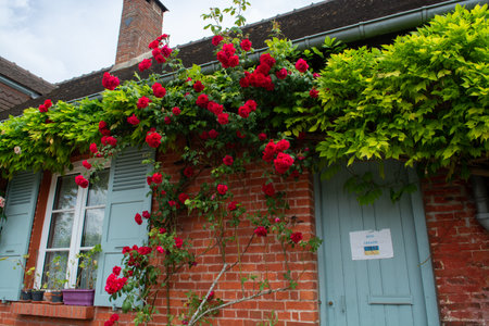Tourist destination, one of most beautiful french villages, Gerberoy - small historical village with half-timbered houses and colorful roses flowers, Franceのeditorial素材