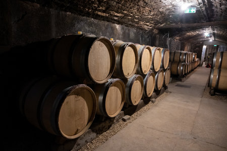 Stages of wine production from fermentation to bottling, visit to wine cellars in Cote d'Or, Burgundy, France, Aging in wooden barrels.のeditorial素材