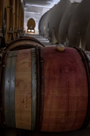 Stages of wine production from fermentation to bottling, visit to wine cellars in Cote d'Or, Burgundy, France, Aging in wooden barrels.の写真素材