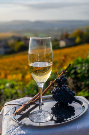 Tasting of premier cru sparkling white wine with bubbles champagne on outdoor terrace with view on...