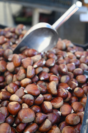 New harvest of brown chestnuts for sale on market in Lisbon, Portugalの写真素材