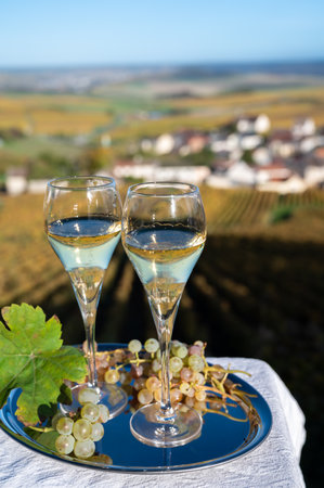 Tasting of french sparkling white wine with bubbles champagne on outdoor terrace with view on colorful grand cru Champagne vineyards in village Cramant in October, near Epernay, Franceの写真素材