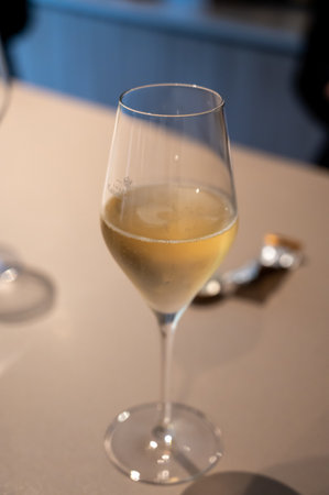 Tasting of brut and reserve grand cru champagne sparkling wine produced by traditional method in underground caves in Champagne, France, close upの写真素材