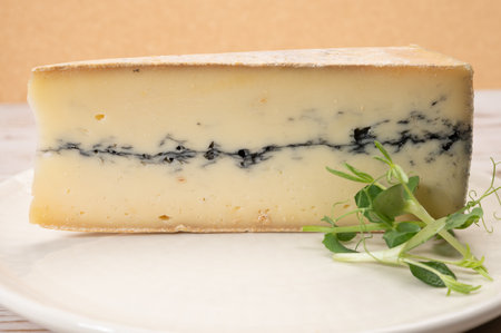 French semi-soft cow milk cheese morbier from Franche-Comte region with thin black layer and strong...