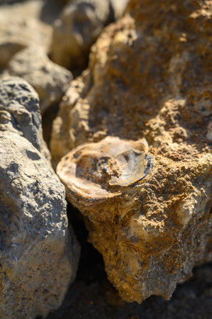 Geological formation of colorful stones with different layers, yellow sand, clay, marble, fossil...
