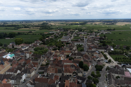 Aerial view on green vineyards and Puligny-Montrachet village, production of high quality famous French white wine in region Burgundy, Franceのeditorial素材