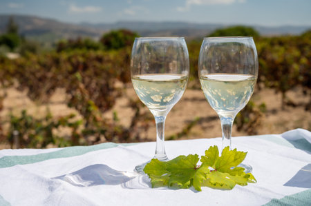 Tasting of white wines on vineyards of Cyprus. Wine production on Cyprus, tourists wine route and visiting of wineries.の写真素材