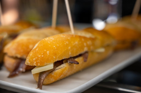 Typical mini burger snack of Basque Country, pinchos or pinxtos, small piece of bread with different toppings, served in bar in San-Sebastian or Bilbao, Spainの写真素材