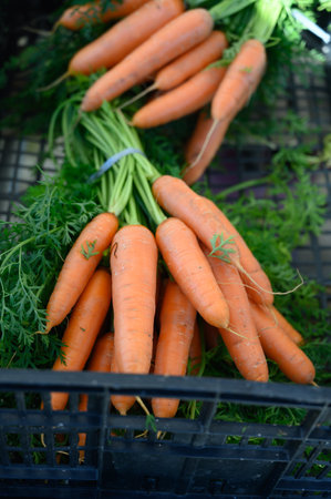 Fresh carrots on outdoor market with seasonal local vegetables and fruits in small Portuguese village near Sintraの写真素材