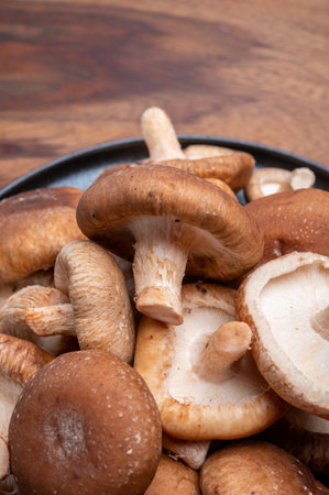 Fresh brown Lentinula edodes or shiitake edible mushrooms from Japanの写真素材