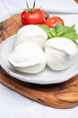 White balls of Italian soft cheese Mozzarella di Bufala Campana served with fresh green basil leaves...