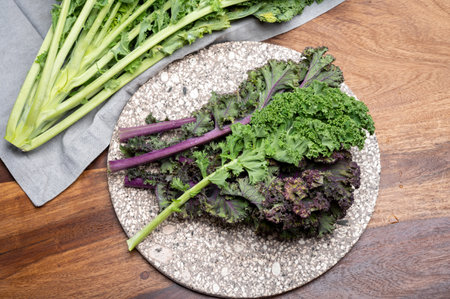 Fresh leaves of winter vegetable green and purple kale cabbage
