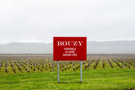 View of Champagne gran cru vineyards at winter and sigh, english translation: Bouzy grand cru quality. Champagne region, Franceの写真素材