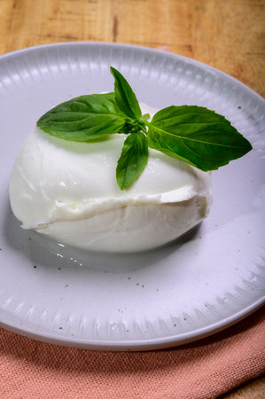 White ball of Italian soft cheese Mozzarella di Bufala Campana served with fresh green basil close upの写真素材