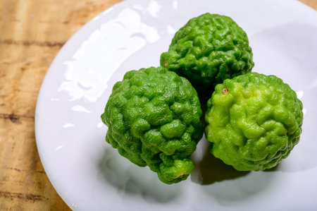 Citrus hystrix, green kaffir lime or makrut lime, citrus fruit native to tropical Southeast Asia....