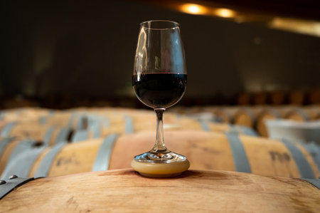 Tasting of variety of rioja wines, visit of winery cellars with french or american oak barrels with...