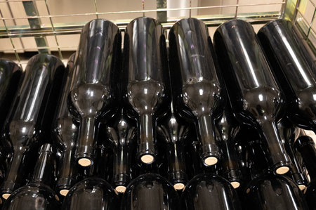 Bottling process of red and white rioja wine on modern winery, wine making in La Rioja region, Spain