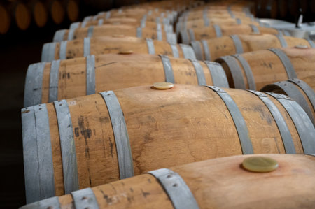 Rows of french and american oak barrels with red dry wine in cellars of winery in Rioja wine making...