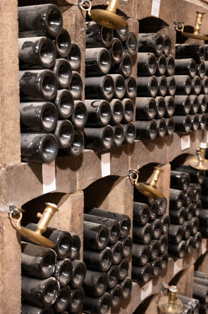 Keeping for years of old dusty bottles of red rioja wine in old underground cellars, wine making in...