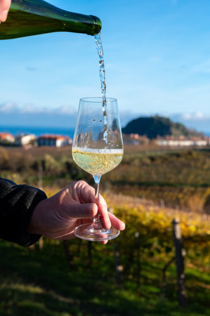 Pouring in glass of txakoli or chacolÃ­ slightly sparkling very dry white wine produced in Spanish Basque Country on vineyards in Getaria in autumn, Spainの写真素材